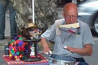 El Ravel en Las Ramblas