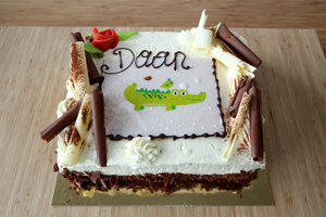 Daan's Krokodillenfeestje