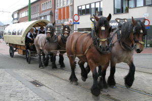 Het kerkelijk huwelijk