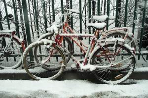sneeuw