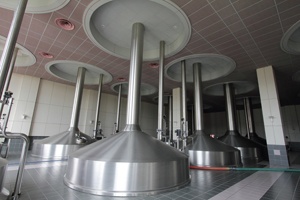 AB Inbev