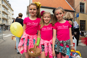 Tiense om te Zien 2014