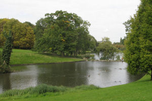 sportdat 2007