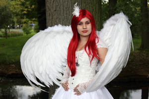 Elf Fantasy Fair Arcen