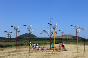 Harmonic Fields