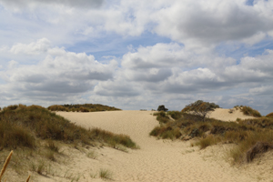 De Panne