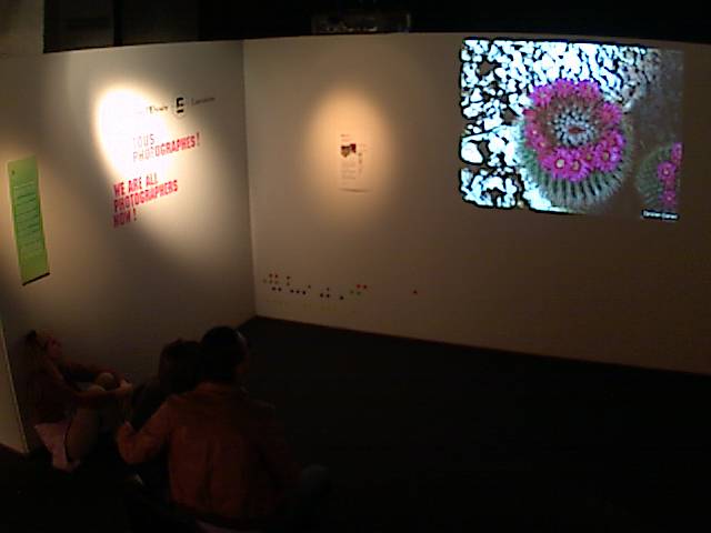 mus�e de l'Elys�e Lausanne - foto 4