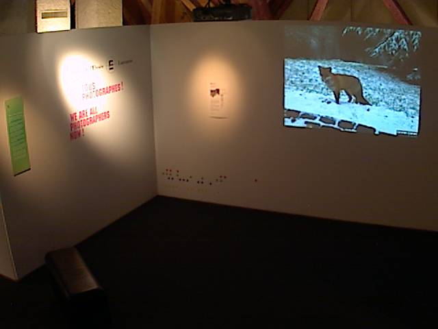 mus�e de l'Elys�e Lausanne - foto 7